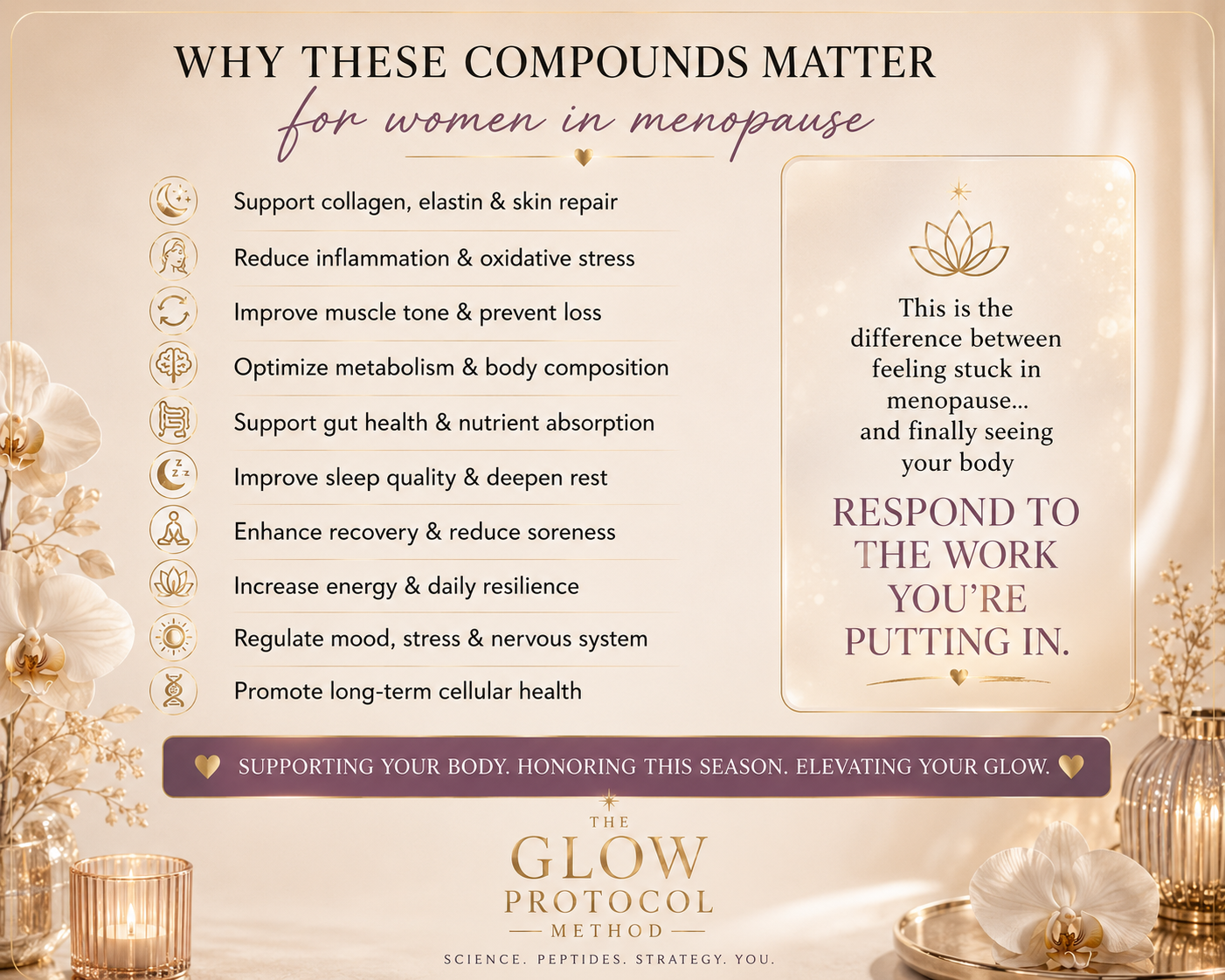 Why these compounds matter for women in menopause